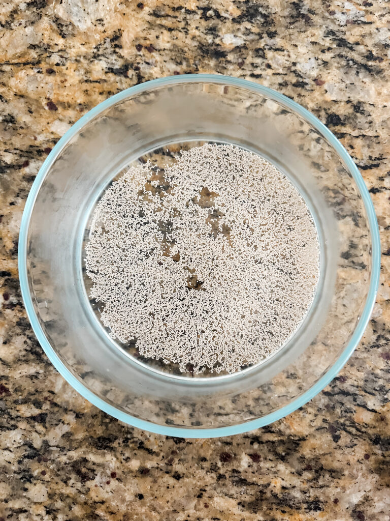 Dry yeast in water